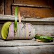 limited collection purse with colorful stripes, small purse with lime colored accents